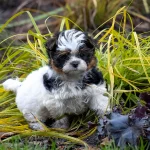 Colour me In Razzmatazz